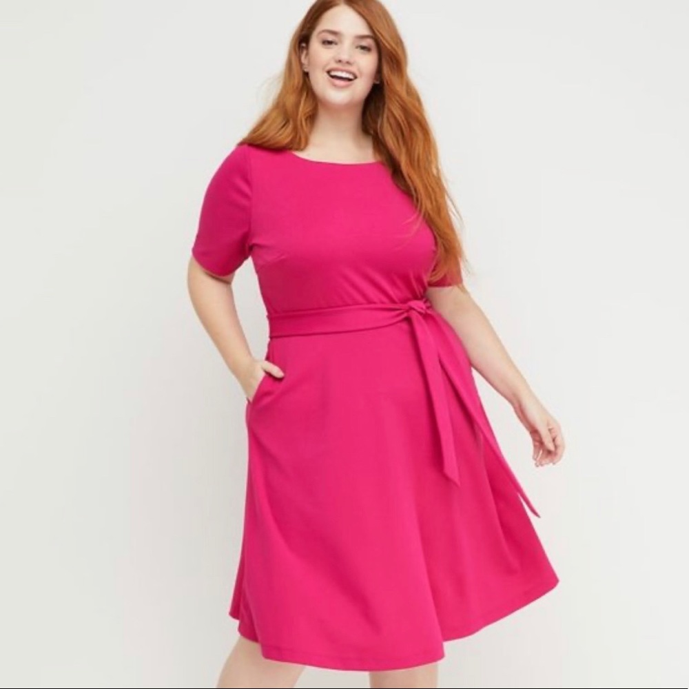 Hello, Barbies! Pink Fit and Flare Dress—Perfect for Holiday Fun, or Work